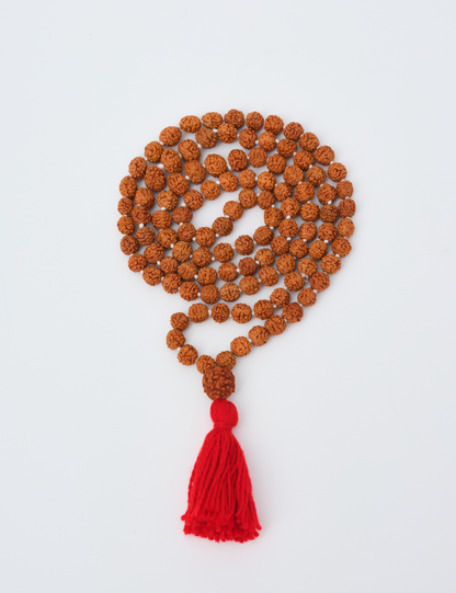 Collar Mala Rudraksha
