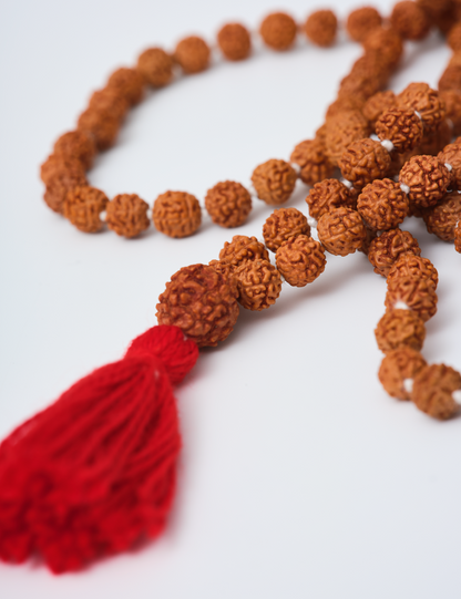 Collar Mala Rudraksha