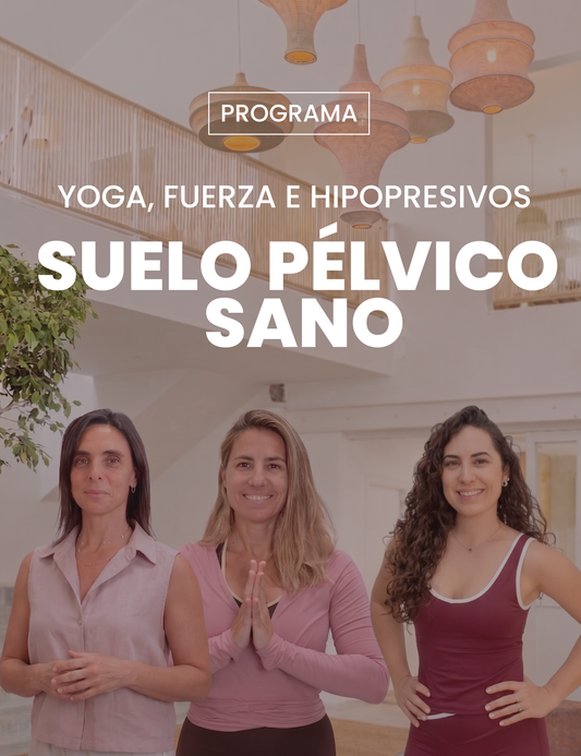 Programa Suelo pélvico sano a cualquier edad (on-line)
